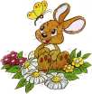 Hase und Schmetterling