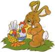 Hallo Hase!